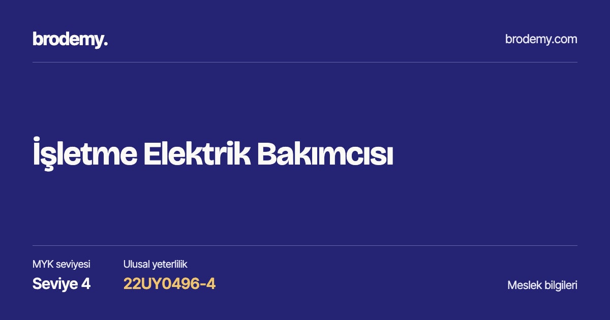 İşletme Elektrik Bakımcısı — Seviye 4, 22UY0496-4 meslek bilgi kartı